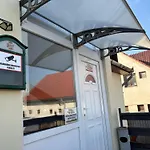 Sárga Csikó Debrecen