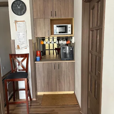 Sarga Csiko Vendeghaz Debrecen