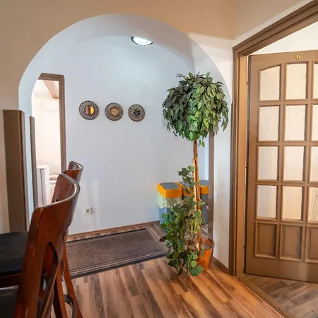 Sarga Csiko Vendeghaz Pensionat Debrecen